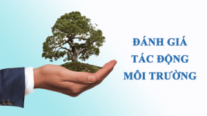 Báo cáo đánh giá tác động môi trường